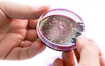 Bakteria dalam rembesan prostat